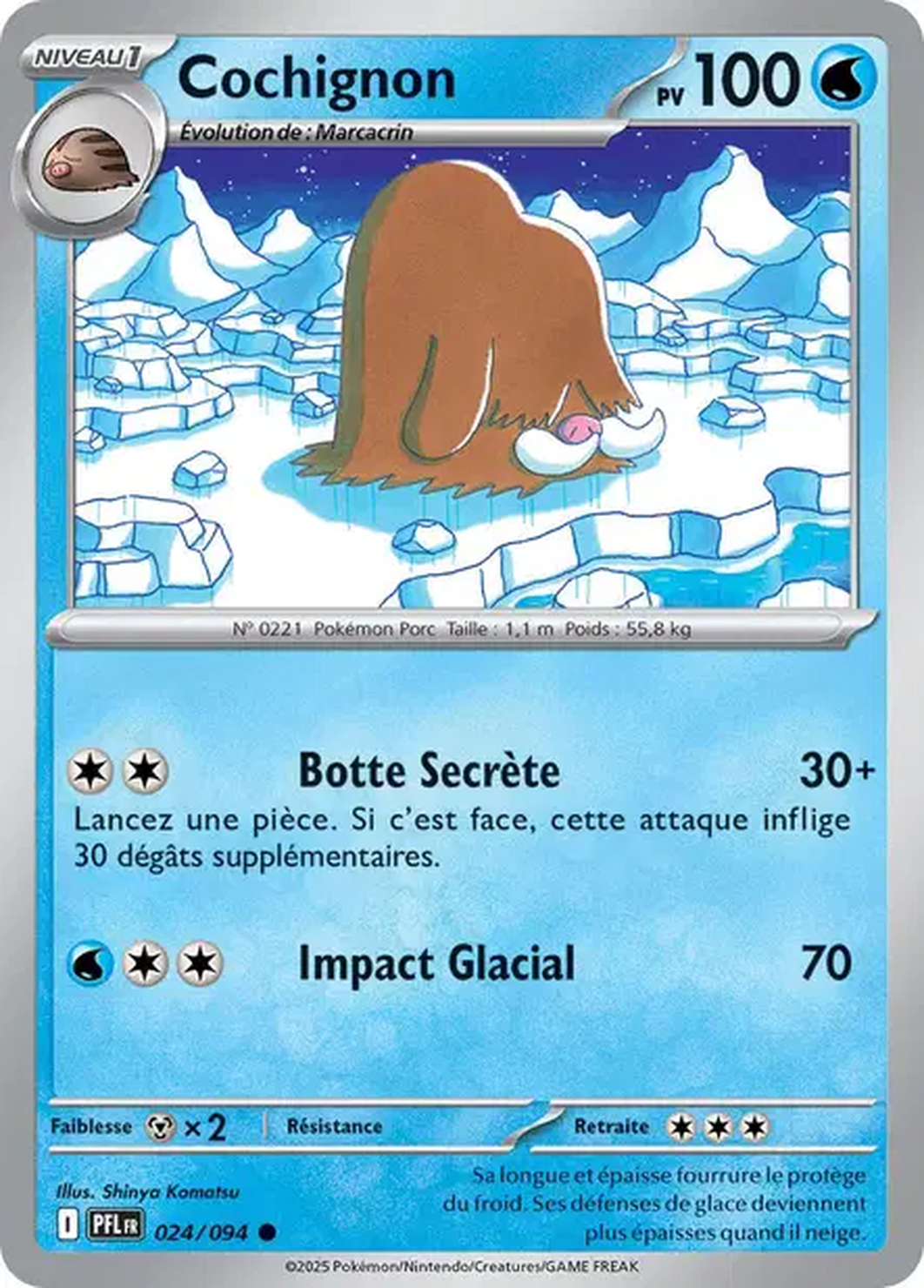 Cochignon 024/094 – Méga-Évolution Flammes Fantasmagoriques